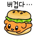 청담양꼬치