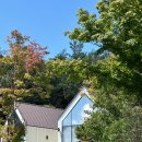 토곡스테이 이미지