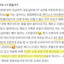 에스티에이 피티(STA PT)