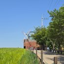 관식이 농장 이미지