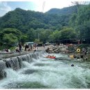 남천1리 솔밭공원 이미지