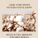 닥터에이 이미지