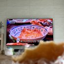 둘째임신 31-34주 기록 / 경산모 백일해주사, 34주차 정기검진