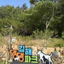댕댕 | [김해 애견운동장] 김해 댕댕파크 후기