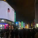 해피나라 | 2026년 상하이 연말 새해 카운트다운 해피뉴이어 와이탄 후기