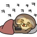 오플로우 이미지