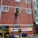 세종특별자치시청 이미지