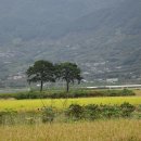 하얀둥지 이미지