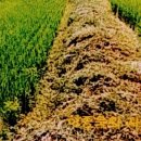 약사전약수터 이미지