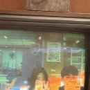 2026, Apr | 봄이 좋아서 돌아다닌 기록
