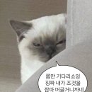 북창동순두부전문점 이미지