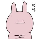 제주 memory 이미지