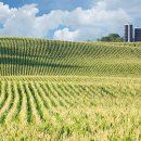 초월농장 이미지