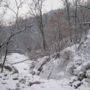 정릉11 이미지