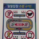 서울 근교 실내 스케이트장 고양어울림누리 얼음마루 주말 이용 후기 중요정보!!
