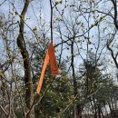 우면산 (대성사 옆) 이미지