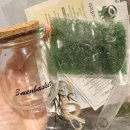 성내마트 | 강동구 성내복지관 청년모임에서 채소 꽃다발 받아왔어요🥦