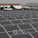 동향3태양광발전소 이미지