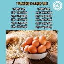 담다마켓! 비린내 없는 난각번호 1번 왕란! 추천합니다!