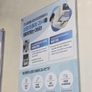 진심동물내과심장병원 | 대구 강아지심장병원 주말진료 진심동물내과심장병원