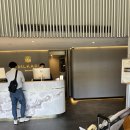 영마트 | 시드니 무계획여행 첫날 채스우드 도착! 입국심사 후기 #실카리앳채스우드, 공원에서 여유여유 #시드니...