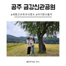 금강공원 놀이터 | 세종근교 아기랑 피크닉 가볼만한곳 공주금강 신관공원 텐트
