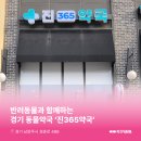 진365약국 이미지