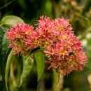 화곡2리 이미지