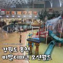 지에스25홍천현대점 | 강원도 홍천 비발디파크 오션월드 내돈내산 후기 12월 겨울, 초등 4학년 딸 생일 가족여행