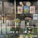 주정차046 이미지