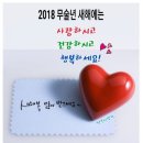 서귀포노인복지관 네이버블로그