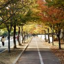 해돋이공원(바닥분수 옆) | 인천 송도 송도 해돋이공원 - 아이랑 보낸 가을 단풍 스냅!