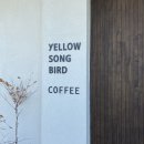 옐로우송버드 이미지