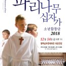 파리나무십자가 소년합창단 내한공연 이미지