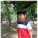 금관분교 병설유치원 이미지