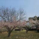 평사리공원3 이미지