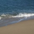 바다랑 파도랑 이미지