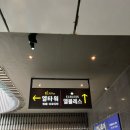 양재 | W.웨딩홀투어/엘블레스 26년 상반기 견적, 식대, 양재 웨딩홀 후기