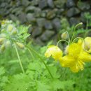 경주목장 이미지