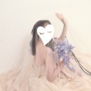 최정인플라워 이미지