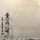 돌다메