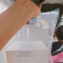 달당 | 전주 한옥마을 과일 찹쌀떡 달당 (짧은 후기&amp;내 돈 내산)