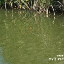 삼미낚시터 이미지