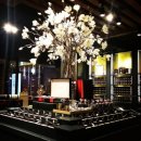 풍기체육관 | 현실을 받아들일 수 없다면 들이받자 feat. 맛집추천