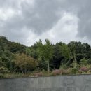 라포레이팝 이미지