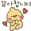 스토리미용실
