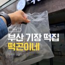 일광떡방앗간 | 부산 기장 떡집 추천 일광 떡곤이네 답례떡 설기 맛집