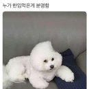멍# 이미지