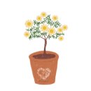 생활원예(주간) 이미지