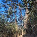 용궁사주차장 이미지